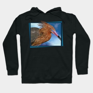 Reddish Egret Hoodie